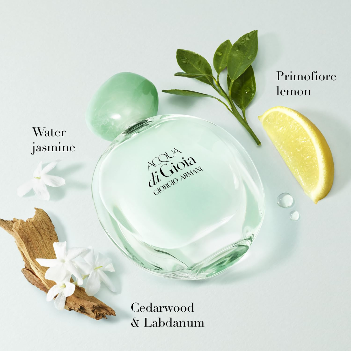 Acqua di Gioia Eau de Parfum for Women 3.4 oz 100ml by Armani Beauty