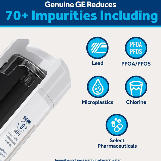 GE XWFE Refrigerator Water Filter Genuine Filter 2 Pack